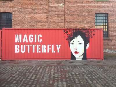 091117 Twitter Magic Butterfly
