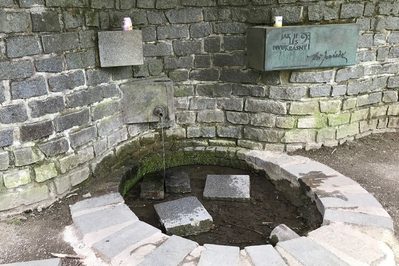 Janaceks Well WEBSITE