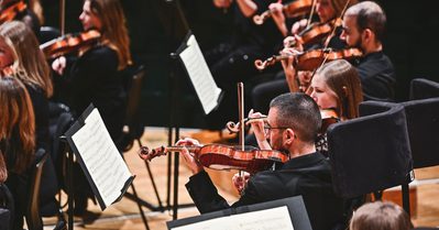 Orchestra Photo Members of the WNO Orchestra strings section play their instruments in concert.