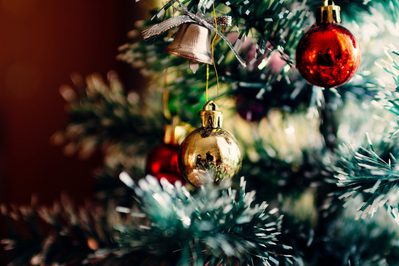 christmas tree 1149619 1920 WEB