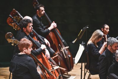 WNO Orchestra photo credit Kirsten Mc Ternan 128