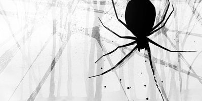 WNOThe Black Spider TWFB