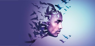 WNO CL1467 A22 Website image 1000x486 Cover Migrations