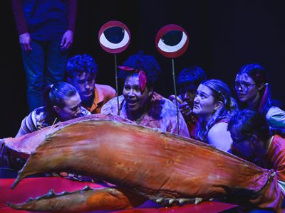 WNYO The Crab That Played With The Sea Eiriana Jones Campbell The Crab photo credit Kirsten Mc Ternan 124